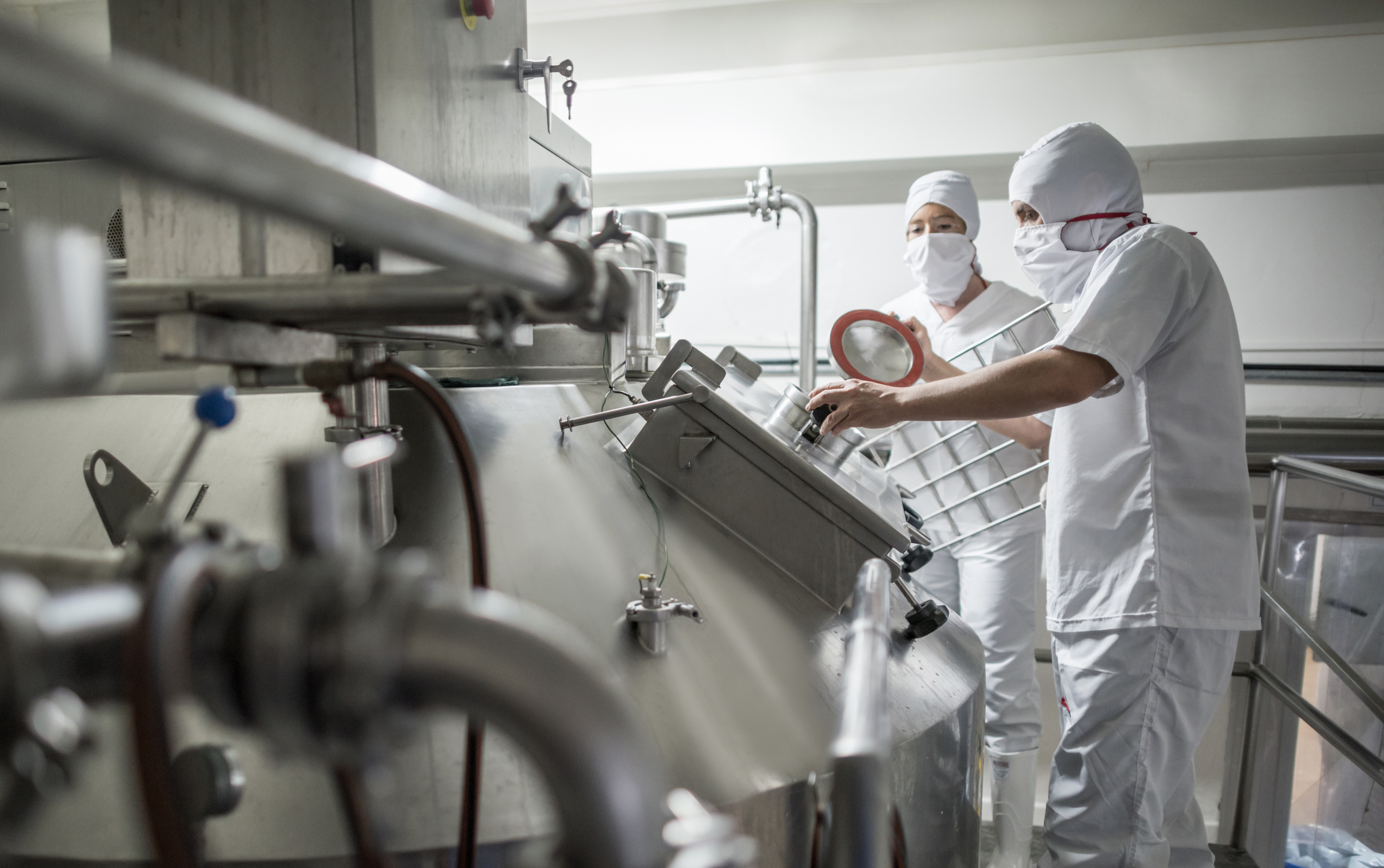 Couple of people working at a dairy factory pasteurizing the milk - food proccessing concepts